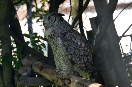 World of Birds Wildlife Sanctuary.